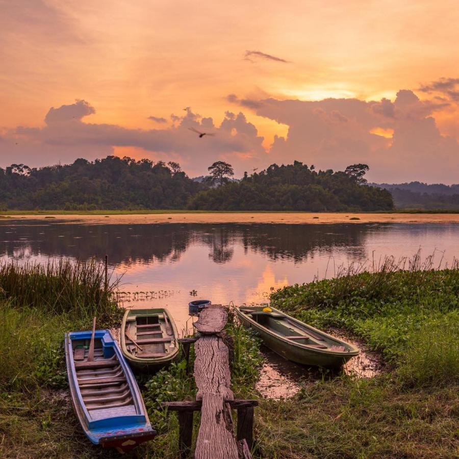 Homestay Dat Viet カッティエン エクステリア 写真