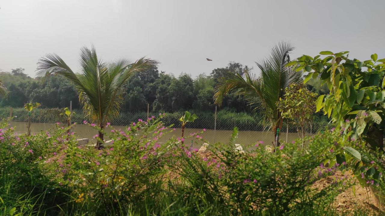 Homestay Dat Viet カッティエン エクステリア 写真