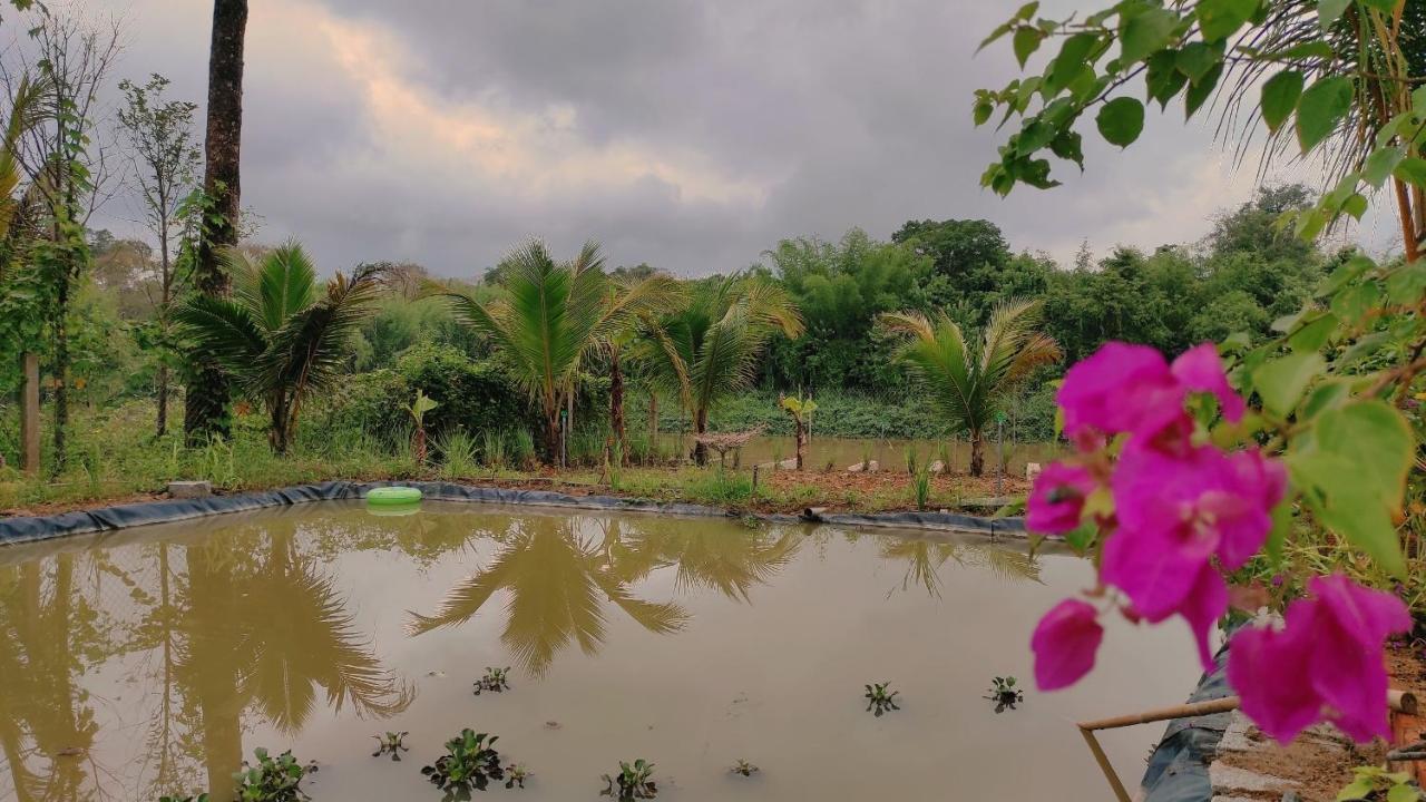 Homestay Dat Viet カッティエン エクステリア 写真