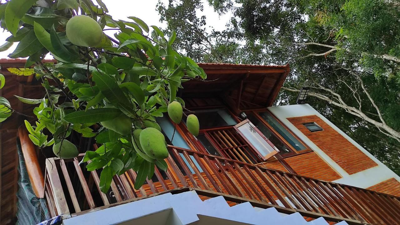 Homestay Dat Viet カッティエン エクステリア 写真
